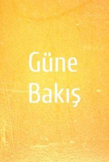 Güne Bakış